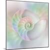 Chambered Nautilus Cutaway Shells on Colorful-Stela Knezevic-Mounted Art Print