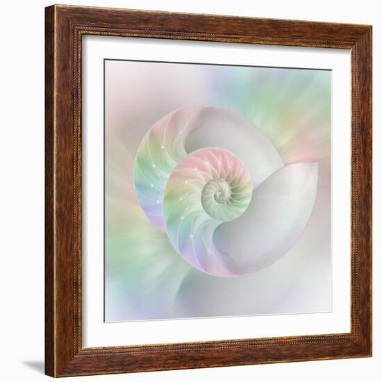 Chambered Nautilus Cutaway Shells on Colorful-Stela Knezevic-Framed Premium Giclee Print