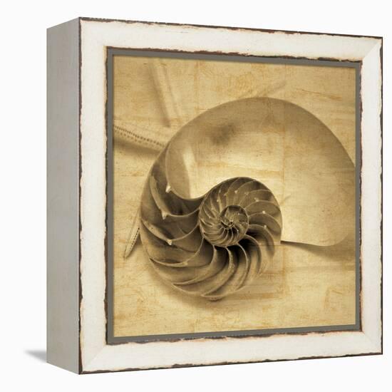 Chambered Nautilus-John Seba-Framed Stretched Canvas