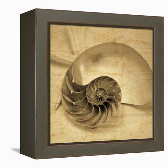 Chambered Nautilus-John Seba-Framed Stretched Canvas