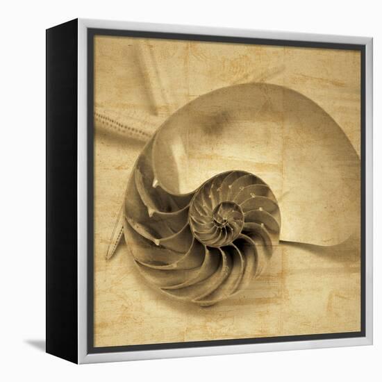 Chambered Nautilus-John Seba-Framed Stretched Canvas