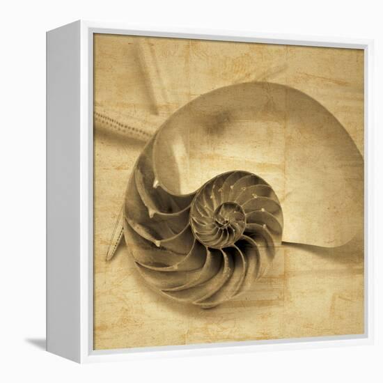 Chambered Nautilus-John Seba-Framed Stretched Canvas