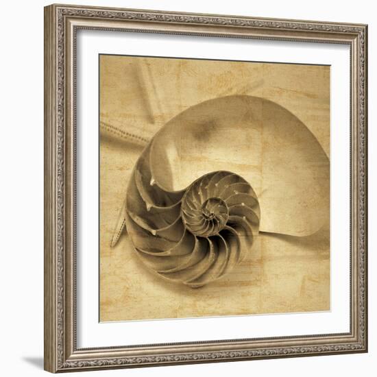 Chambered Nautilus-John Seba-Framed Photo