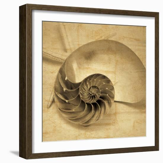 Chambered Nautilus-John Seba-Framed Photo