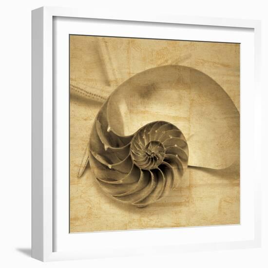 Chambered Nautilus-John Seba-Framed Photo