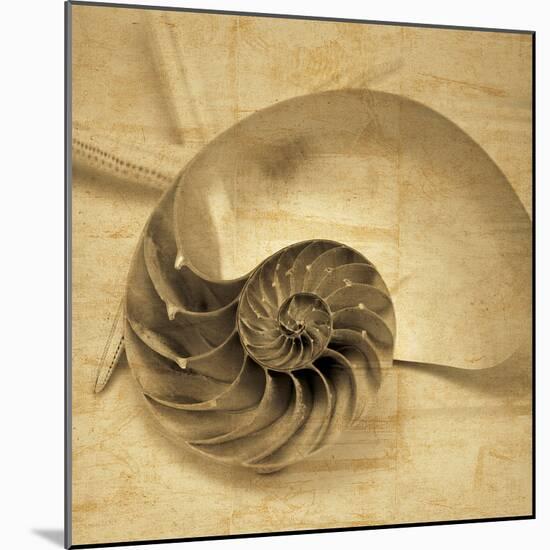 Chambered Nautilus-John Seba-Mounted Photo