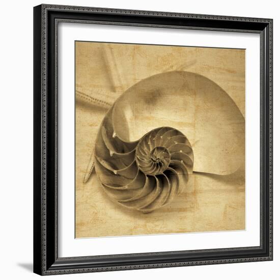 Chambered Nautilus-John Seba-Framed Photo