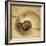 Chambered Nautilus-John Seba-Framed Photo