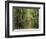 Chambord Forest, Loire, France-Adam Woolfitt-Framed Photographic Print