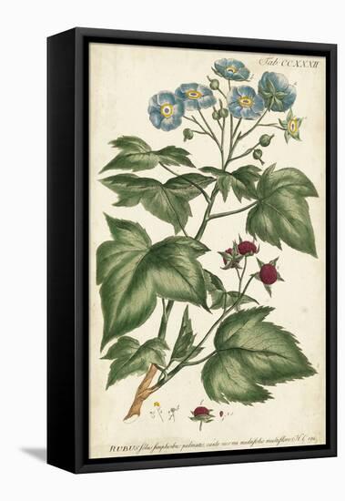 Chambray Botanical I-Phillip Miller-Framed Stretched Canvas