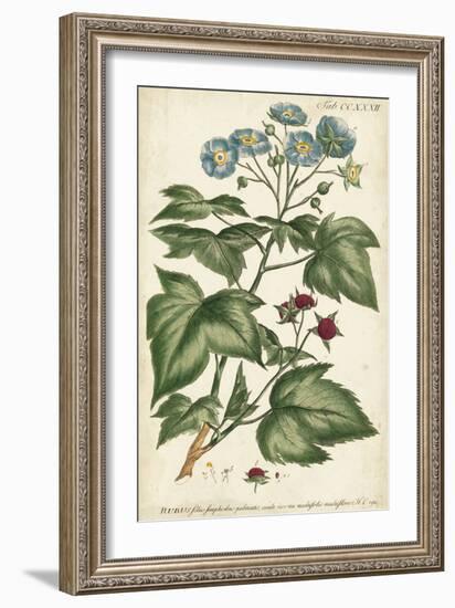 Chambray Botanical I-Phillip Miller-Framed Art Print