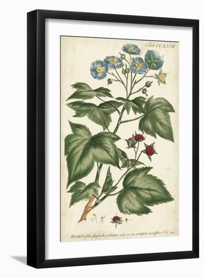 Chambray Botanical I-Phillip Miller-Framed Art Print