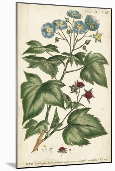 Chambray Botanical I-Phillip Miller-Mounted Art Print