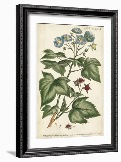 Chambray Botanical I-Phillip Miller-Framed Art Print