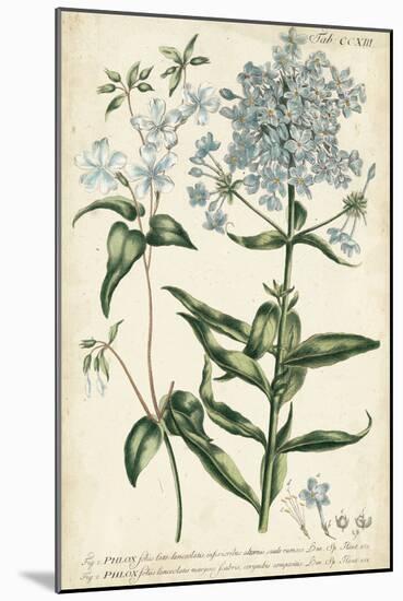 Chambray Botanical II-Phillip Miller-Mounted Art Print