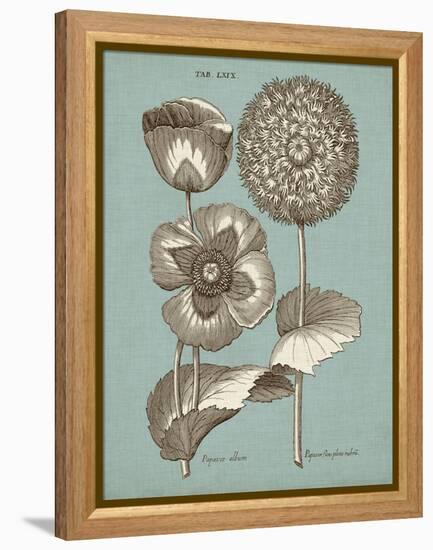 Chambray Chintz III-null-Framed Stretched Canvas