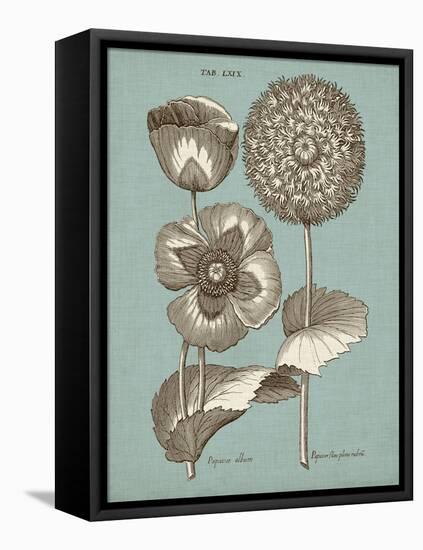 Chambray Chintz III-null-Framed Stretched Canvas