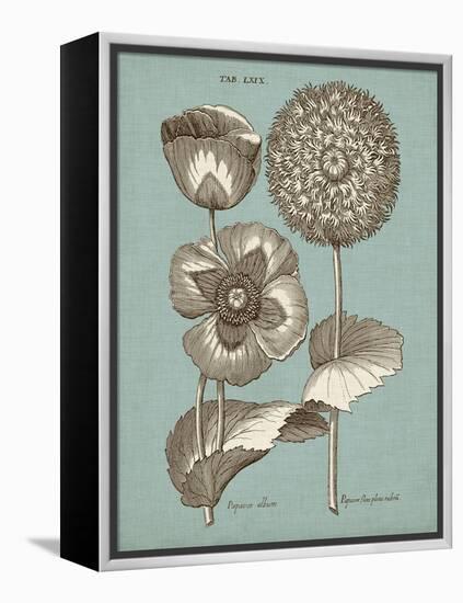 Chambray Chintz III-null-Framed Stretched Canvas