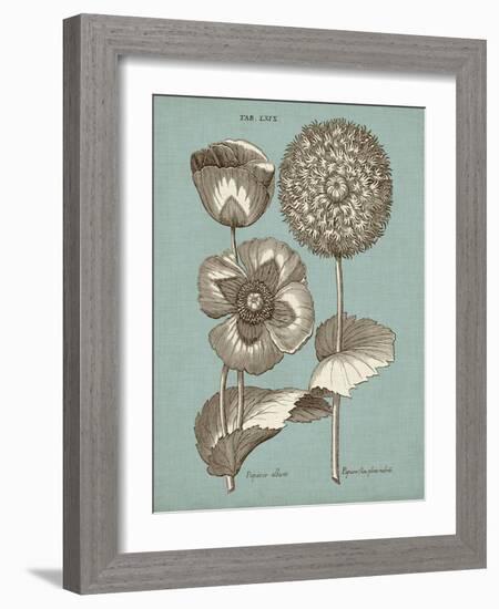 Chambray Chintz III-null-Framed Art Print