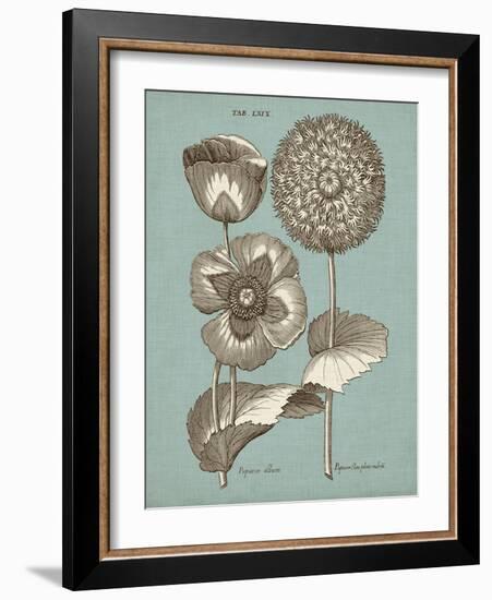 Chambray Chintz III-null-Framed Art Print