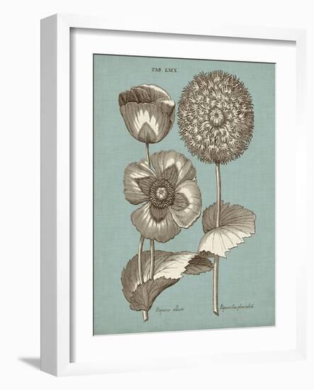 Chambray Chintz III-null-Framed Art Print