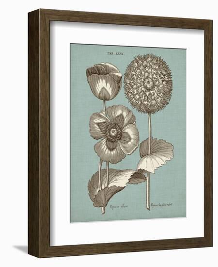 Chambray Chintz III-null-Framed Premium Giclee Print