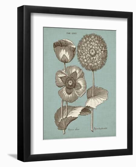 Chambray Chintz III-null-Framed Premium Giclee Print