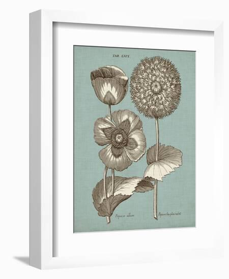 Chambray Chintz III-null-Framed Premium Giclee Print