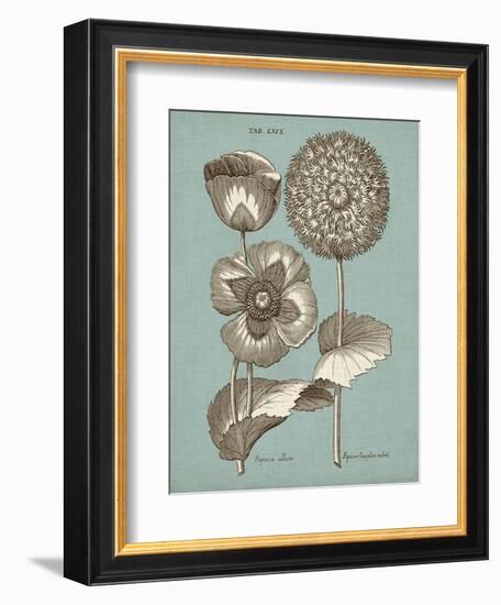 Chambray Chintz III-null-Framed Premium Giclee Print