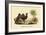 Chameau a Deux Bosses-E.f. Noel-Framed Art Print