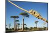 Chameleon, Avenue of Baobabs, Madagascar-Paul Souders-Mounted Photographic Print