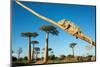 Chameleon, Avenue of Baobabs, Madagascar-Paul Souders-Mounted Photographic Print