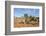 Chameleon, Kruger National Park, South Africa-Paul Souders-Framed Photographic Print