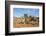 Chameleon, Kruger National Park, South Africa-Paul Souders-Framed Photographic Print