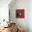 Chameleon Red-Sharon Turner-Framed Stretched Canvas displayed on a wall