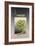 Chameleon-Harro Maass-Framed Giclee Print