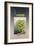 Chameleon-Harro Maass-Framed Giclee Print