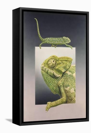 Chameleon-Harro Maass-Framed Premier Image Canvas