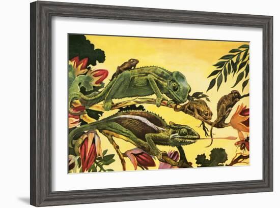 Chameleon-English School-Framed Giclee Print