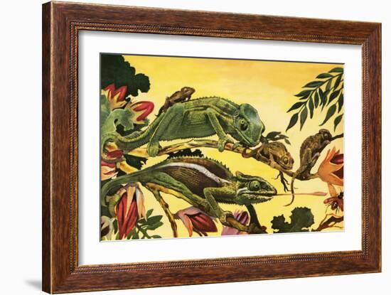 Chameleon-English School-Framed Giclee Print