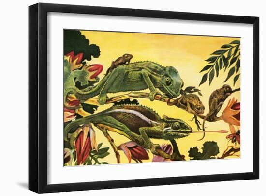 Chameleon-English School-Framed Giclee Print