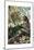 Chameleons or Chamaeleons by Alfred Edmund Brehm-Stefano Bianchetti-Mounted Giclee Print