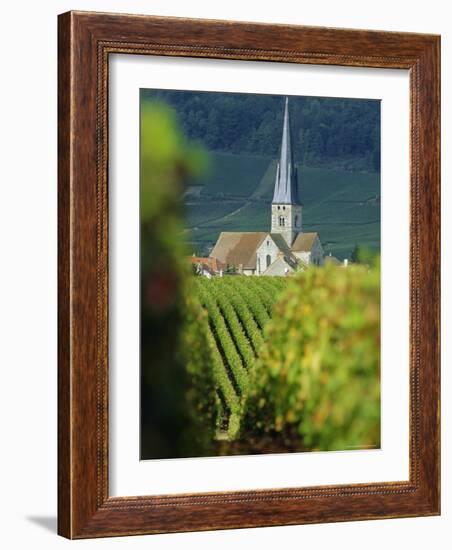 Chamery, Montagne De Reims, Champagne, France, Europe-John Miller-Framed Photographic Print