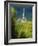 Chamery, Montagne De Reims, Champagne, France, Europe-John Miller-Framed Photographic Print