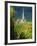 Chamery, Montagne De Reims, Champagne, France, Europe-John Miller-Framed Photographic Print