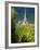Chamery, Montagne De Reims, Champagne, France, Europe-John Miller-Framed Photographic Print