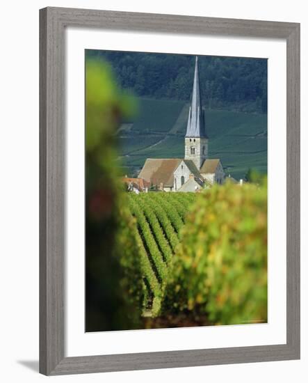 Chamery, Montagne De Reims, Champagne, France, Europe-John Miller-Framed Photographic Print