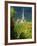 Chamery, Montagne De Reims, Champagne, France, Europe-John Miller-Framed Photographic Print