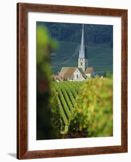 Chamery, Montagne De Reims, Champagne, France, Europe-John Miller-Framed Photographic Print