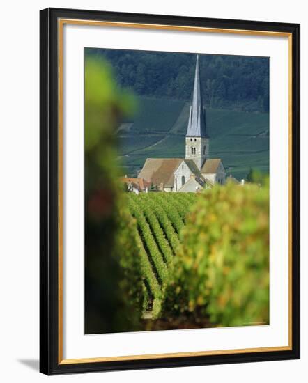 Chamery, Montagne De Reims, Champagne, France, Europe-John Miller-Framed Photographic Print